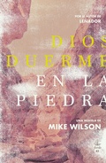 Cover: Dios duerme en la piedra - Fiordo Editorial