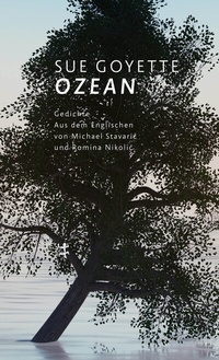 Abbildung von: Ozean - Matthes & Seitz Berlin