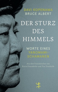 Abbildung von: Der Sturz des Himmels - Matthes & Seitz Berlin