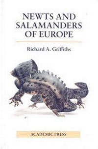 Abbildung von: The Newts and Salamanders of Europe - Poyser