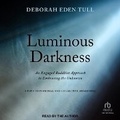 Cover: Luminous Darkness - Tantor Audio