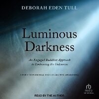 Enlarge image Cover: Luminous Darkness - Tantor Audio