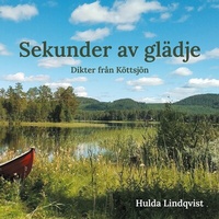 Abbildung von: Sekunder av glädje - BoD - Books on Demand - Schweden