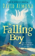 Cover: The Falling Boy - Hodder Children's Books