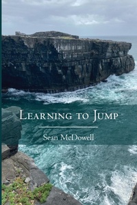 Enlarge image Cover: Learning to Jump - Resource Publications (CA)