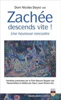 Abbildung von: Zachée, descends vite ! - Saint-Léger Editions