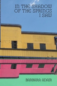Abbildung von: Adair: In the Shadow of the Springs I Saw - Modjaji Books