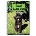 Cover: Little Black Dog - Rainbow Reading Programme