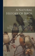 Cover: A Natural History Of Birds - Legare Street Press