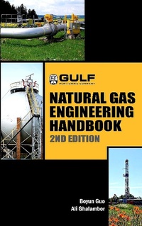 Enlarge image Cover: Natural Gas Engineering Handbook - Elsevier