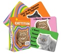 Cover: Cattitude - Rockpool Publishing