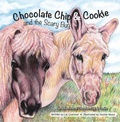 Cover: Chocolate Chip & Cookie and the Scary Bug - Elizabeth Liverman
