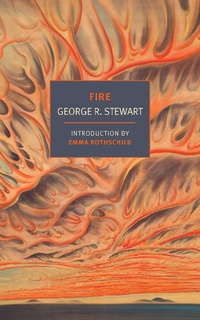 Enlarge image Cover: Fire - NYRB Classics
