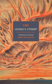 Enlarge image Cover: Fire - NYRB Classics