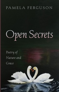 Enlarge image Cover: Open Secrets - Resource Publications (CA)