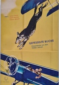 Cover: Gefesselte Blicke - Lucia Verlag