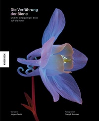 Abbildung von: Die Verführung der Biene - Knesebeck