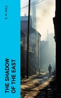 Cover: The Shadow of the East - e-artnow