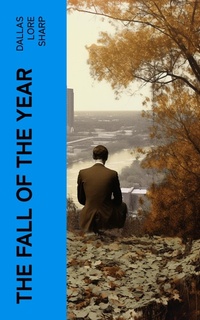 Enlarge image Cover: The Fall of the Year - e-artnow