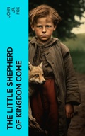 Cover: The Little Shepherd of Kingdom Come - e-artnow