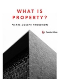 Cover: What Is Property? - Passerino