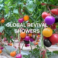 Abbildung von: Revival Showers - Prisy Paul