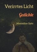 Cover: Verirrtes Licht - epubli