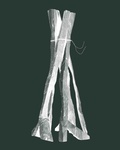 Cover: Georg Baselitz. Sculptures 2011-2015 - K&ouml;nig, Walther