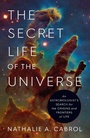 Bild: The Secret Life of the Universe - Simon & Schuster Ltd
