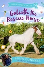 Cover: Goliath the Rescue Horse - Zephyr