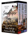 Cover: Sandpiper Bay--Three Book Series (A Riley Harper Mystery, #4) - Dreamscape Press