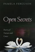 Cover: Open Secrets - Wipf and Stock Publishers