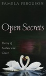 Cover: Open Secrets - Resource Publications (CA)