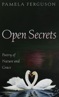 Enlarge image Cover: Open Secrets - Resource Publications (CA)