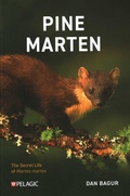 Cover: Pine Marten - Pelagic Publishing
