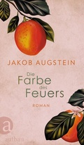 Cover: Die Farbe des Feuers - Aufbau