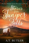 Cover: Stories from Juniper Falls - James Mountain Media