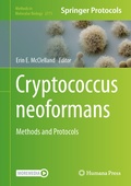 Bild: Cryptococcus neoformans - Humana