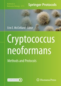 Bild: Cryptococcus neoformans - Humana