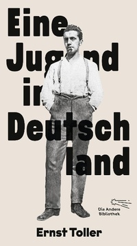 Abbildung von: Eine Jugend in Deutschland - Aufbau