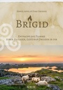 Cover: Brigid - Aurum in Kamphausen Media GmbH