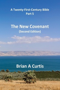 Enlarge image Cover: The New Covenant - Brian Alec Curtis