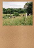 Cover: Widening the Lens: Photography, Ecology, and the Contemporary Landscape - Carnegie Museum of Art,U.S.