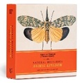Cover: Natural Histories Animal Kingdom 2025 Day-to-Day Calendar - Union Square & Co.