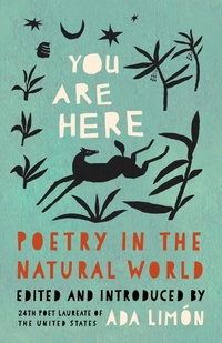 Abbildung von: You Are Here - Milkweed Editions