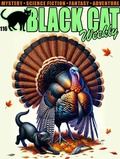 Cover: Black Cat Weekly #116 - Wildside Press