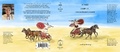 Cover: HOMER ILIAD I-XII - MACHAIRA PRESS