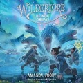Cover: The Night Compass - SIMON & SCHUSTER AUDIO