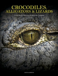 Abbildung von: Crocodiles, Alligators & Lizards - Amber Books