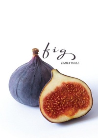Enlarge image Cover: Fig - Minerva Rising Press